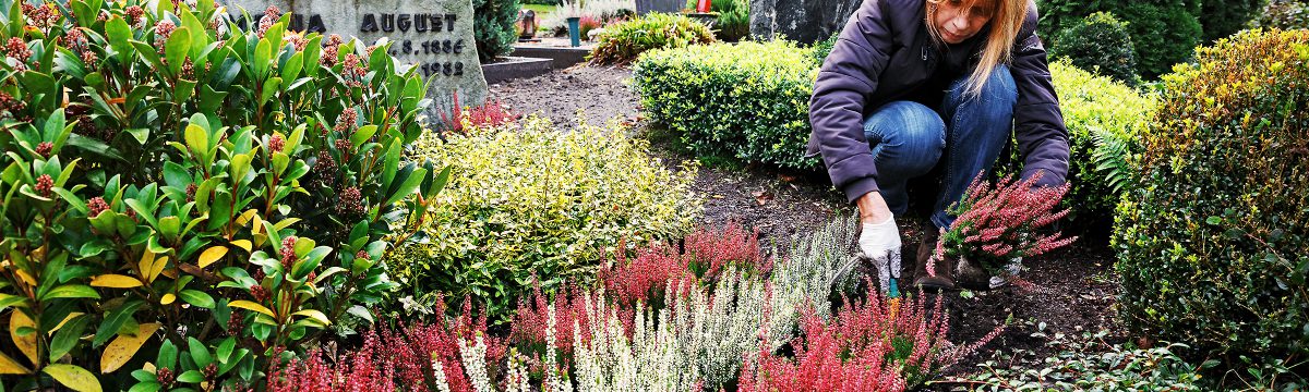 Grabpfleger & Friedhofsgärtner in Sulzbach (Taunus)